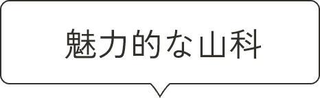 魅力的な山科