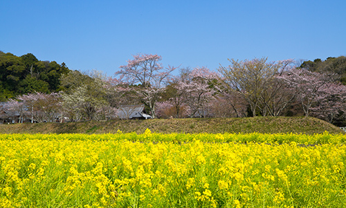 イメージ写真