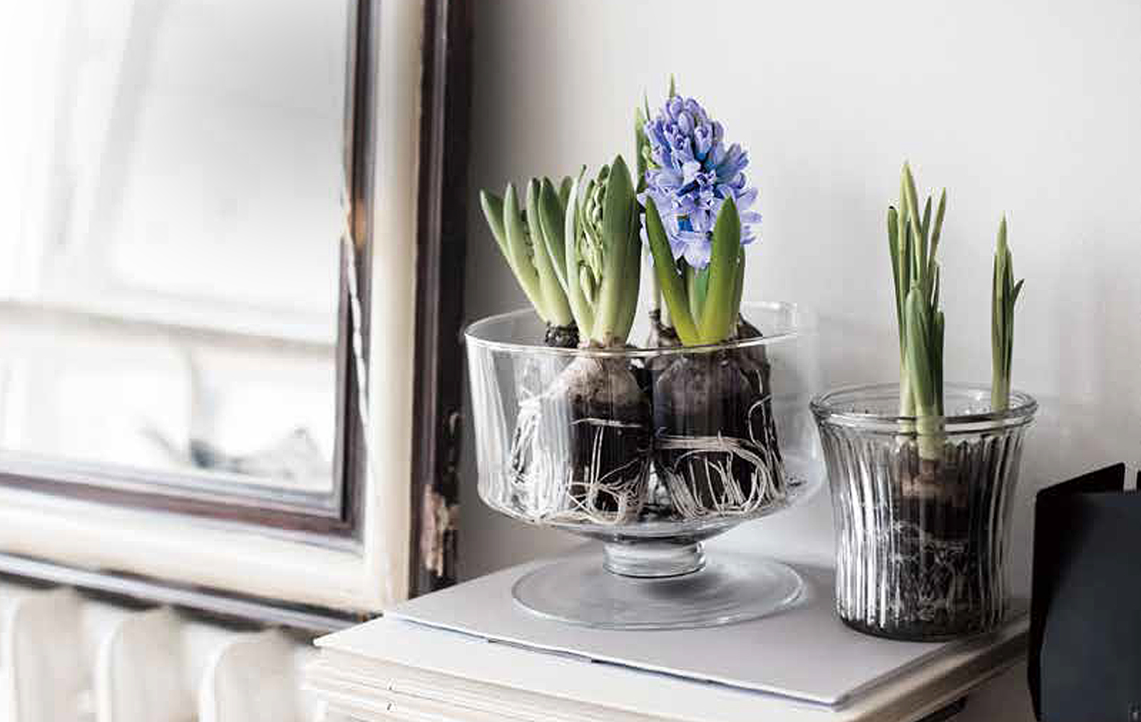 自由設計とは？